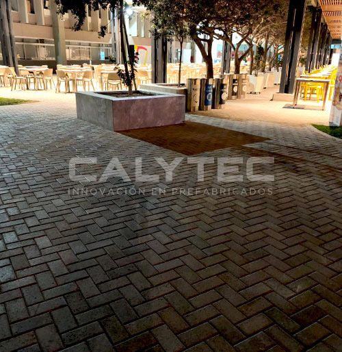 proyecto cayetano 2