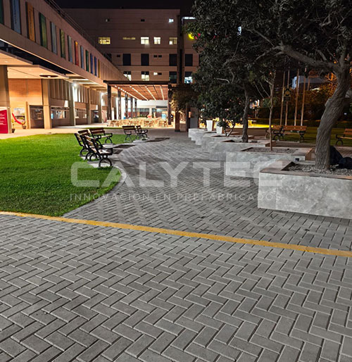 proyecto cayetano 1